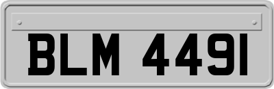 BLM4491