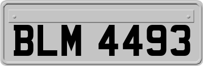 BLM4493