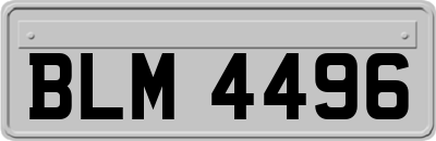 BLM4496