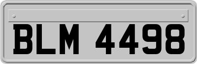 BLM4498