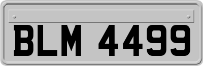 BLM4499