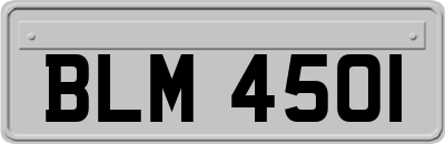 BLM4501