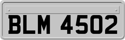 BLM4502