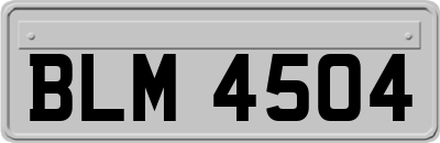 BLM4504