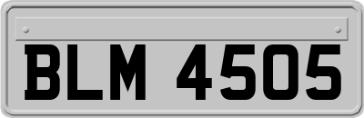 BLM4505