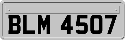 BLM4507