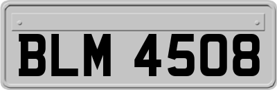 BLM4508