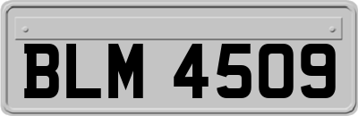 BLM4509