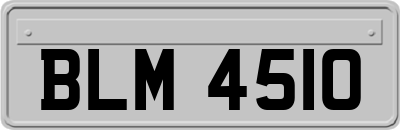 BLM4510