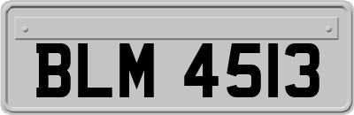 BLM4513