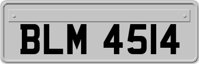 BLM4514