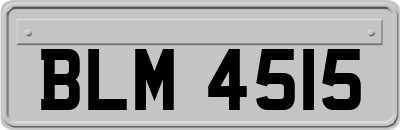 BLM4515