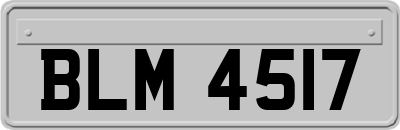 BLM4517