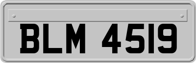 BLM4519