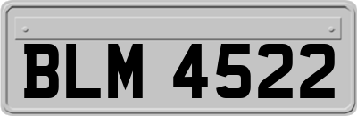 BLM4522