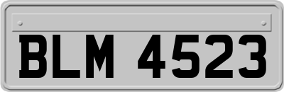 BLM4523