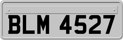BLM4527