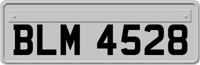 BLM4528