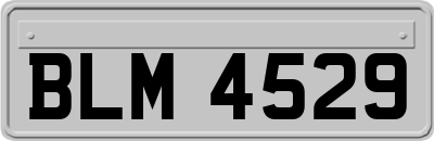 BLM4529