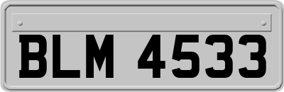 BLM4533