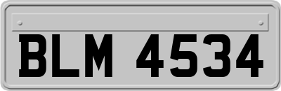 BLM4534