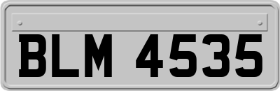 BLM4535