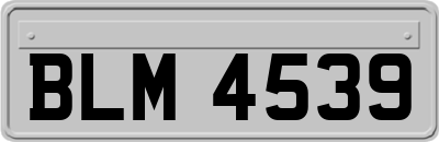BLM4539