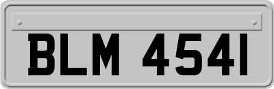 BLM4541