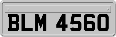BLM4560