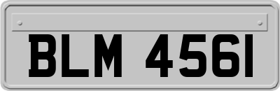 BLM4561