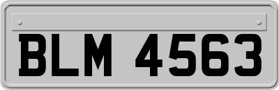 BLM4563