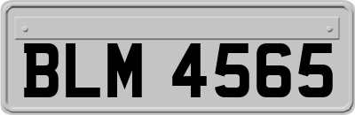 BLM4565
