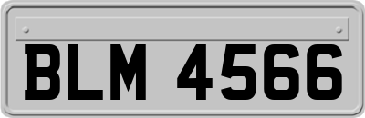 BLM4566