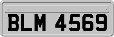 BLM4569