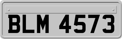 BLM4573