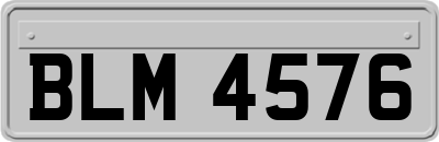 BLM4576