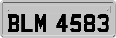 BLM4583