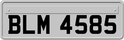 BLM4585