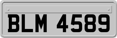 BLM4589