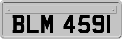 BLM4591