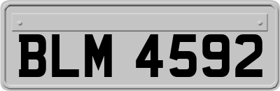 BLM4592