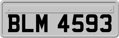 BLM4593