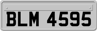 BLM4595