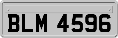 BLM4596