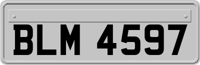 BLM4597