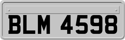BLM4598