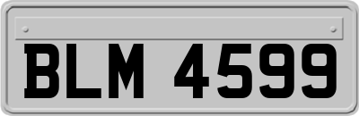 BLM4599