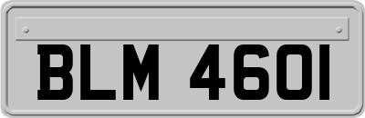 BLM4601