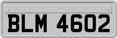 BLM4602