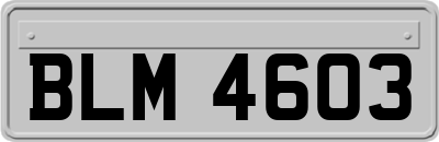 BLM4603